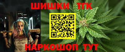 дмт Сланцы