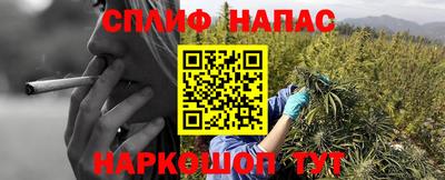 спайс Славгород