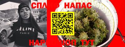 дмт Сланцы