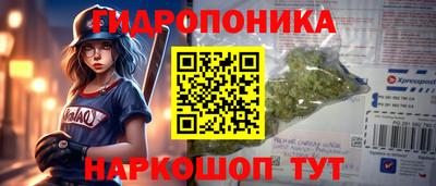 спайс Славгород